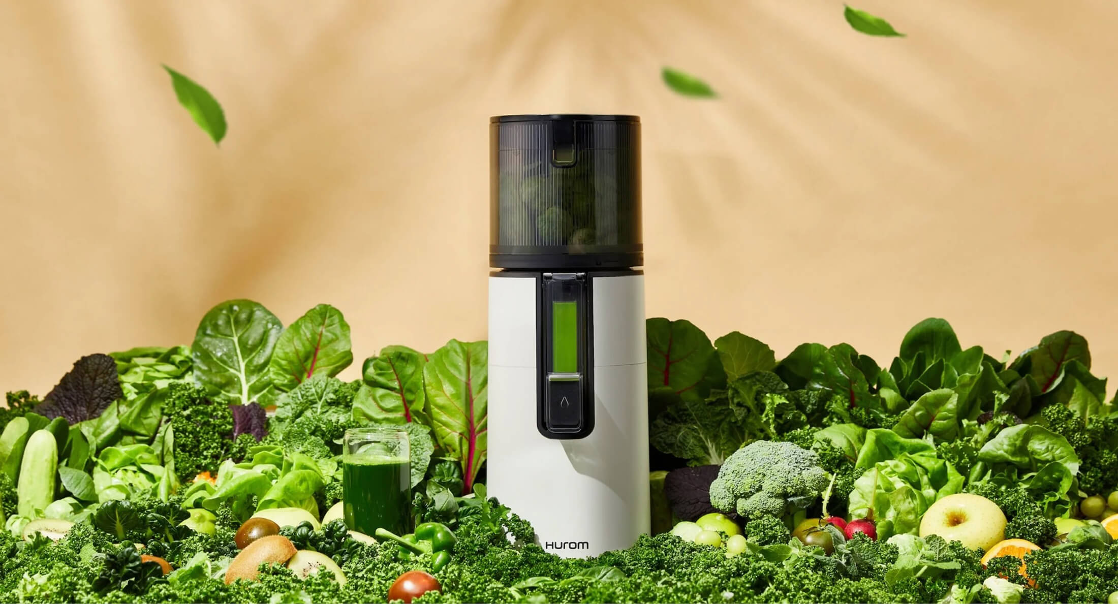 Hurom Slow Juicers 01